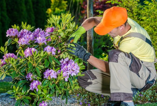 Final complaint resolution with tree surgery team