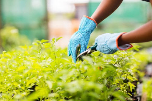 Commitment to preventing modern slavery in tree surgery