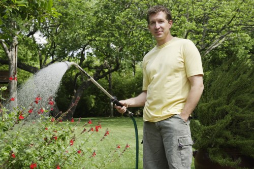 Tree surgeon managing a large tree near property boundaries