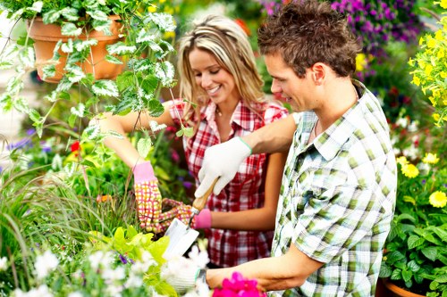 Professional tree assessment in a small-access Lee property