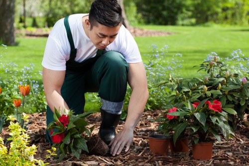 Bank transfer and card payment security for Tree Surgeons Lee services