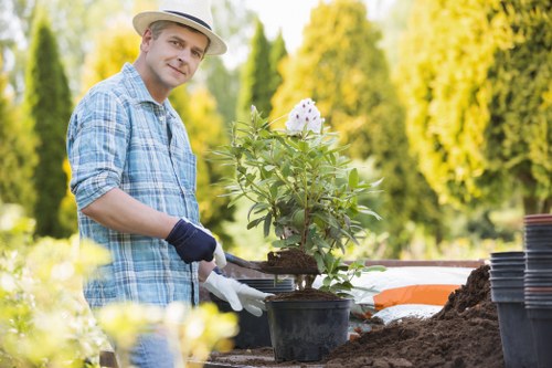 Supervised tree work with public safety measures