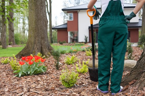 Local hedge maintenance for a home garden in Lee