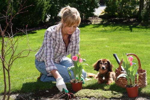 Local tree inspection for storm-damaged branches in Lee