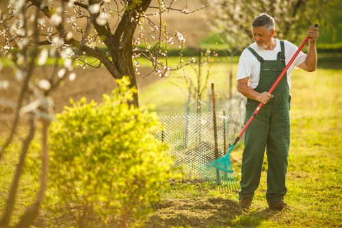 Chainsaw and PPE safety for tree surgery operations