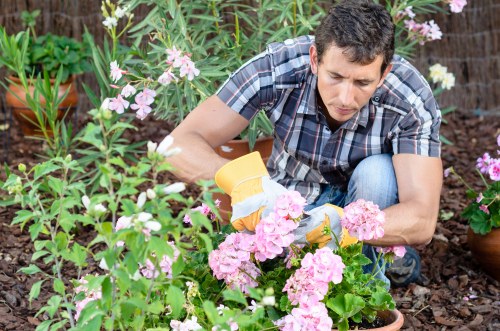 SSL encrypted Tree Surgeons Lee payments for safe customer checkout